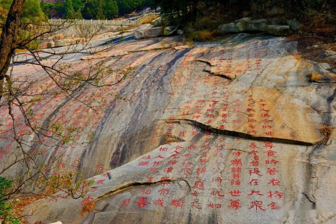 硕大的苹果